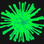 virus de couleur verte